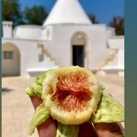 Trullo Il Gelso With Private Salt Water Infinity Pool And Jacuzzi Inside