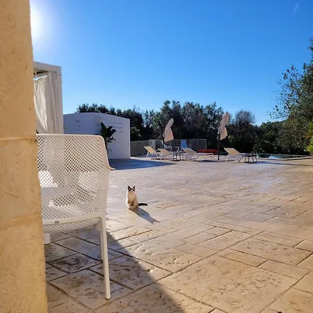 Ferienhaus Trullo Il Gelso With Private Salt Water Infinity Pool And Jacuzzi Inside *